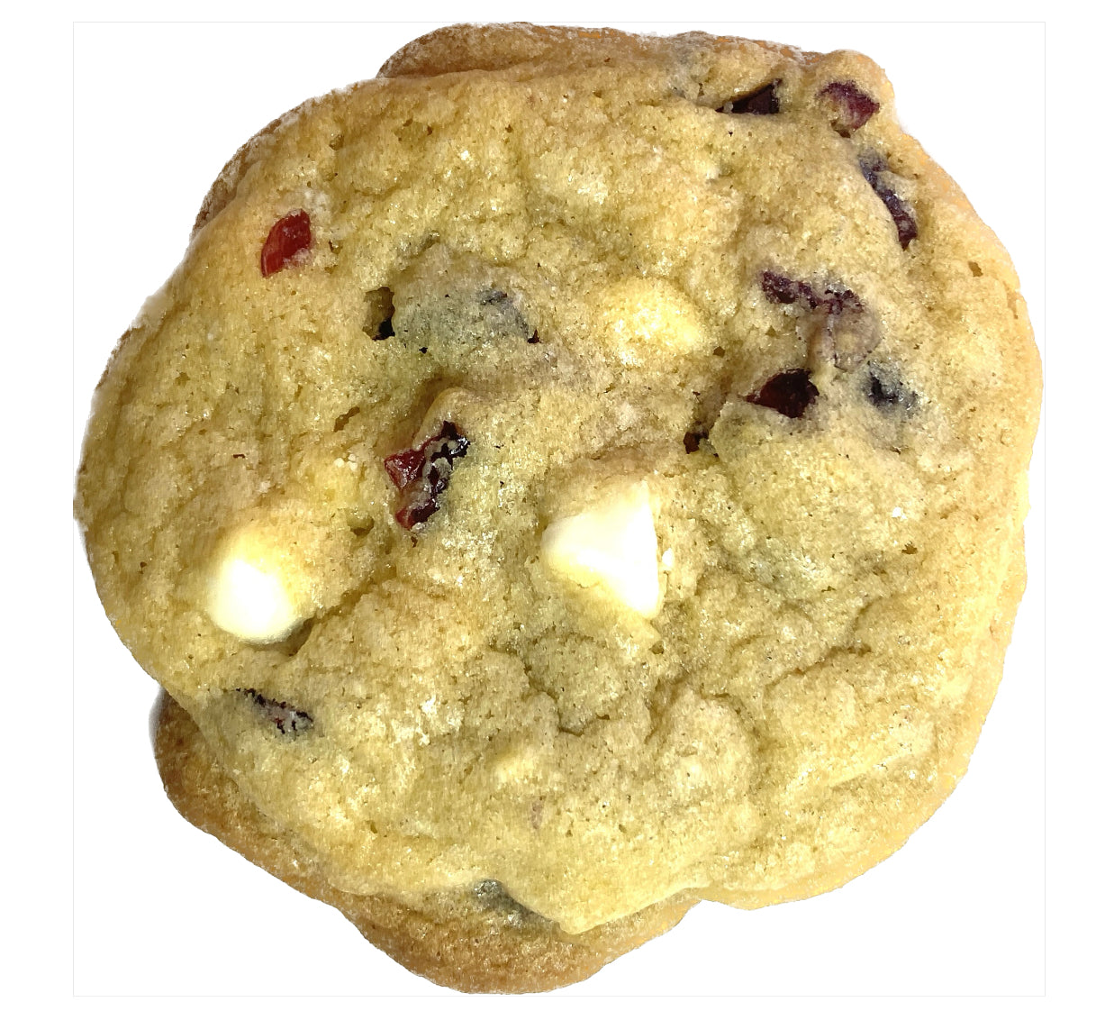 Cranberry White Chocolate Chip